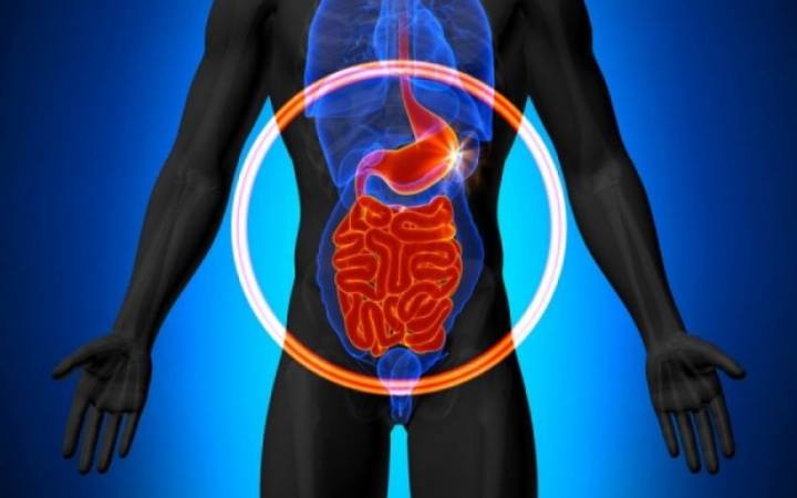 13872636_1053748731327174_2217163915853836794_n